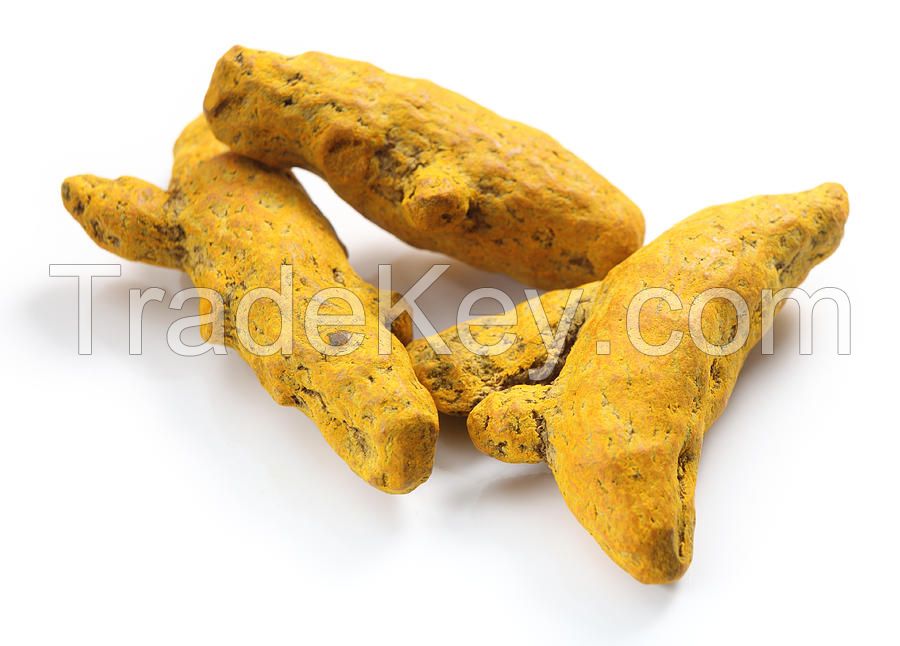 Dry Turmeric curcuma longa salem/erode