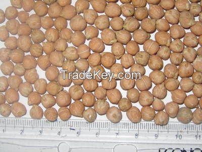 Chickpeas