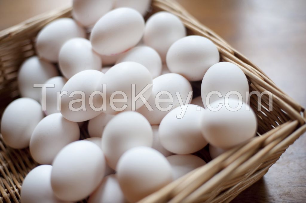  Fresh Chicken Eggs Brown and White 