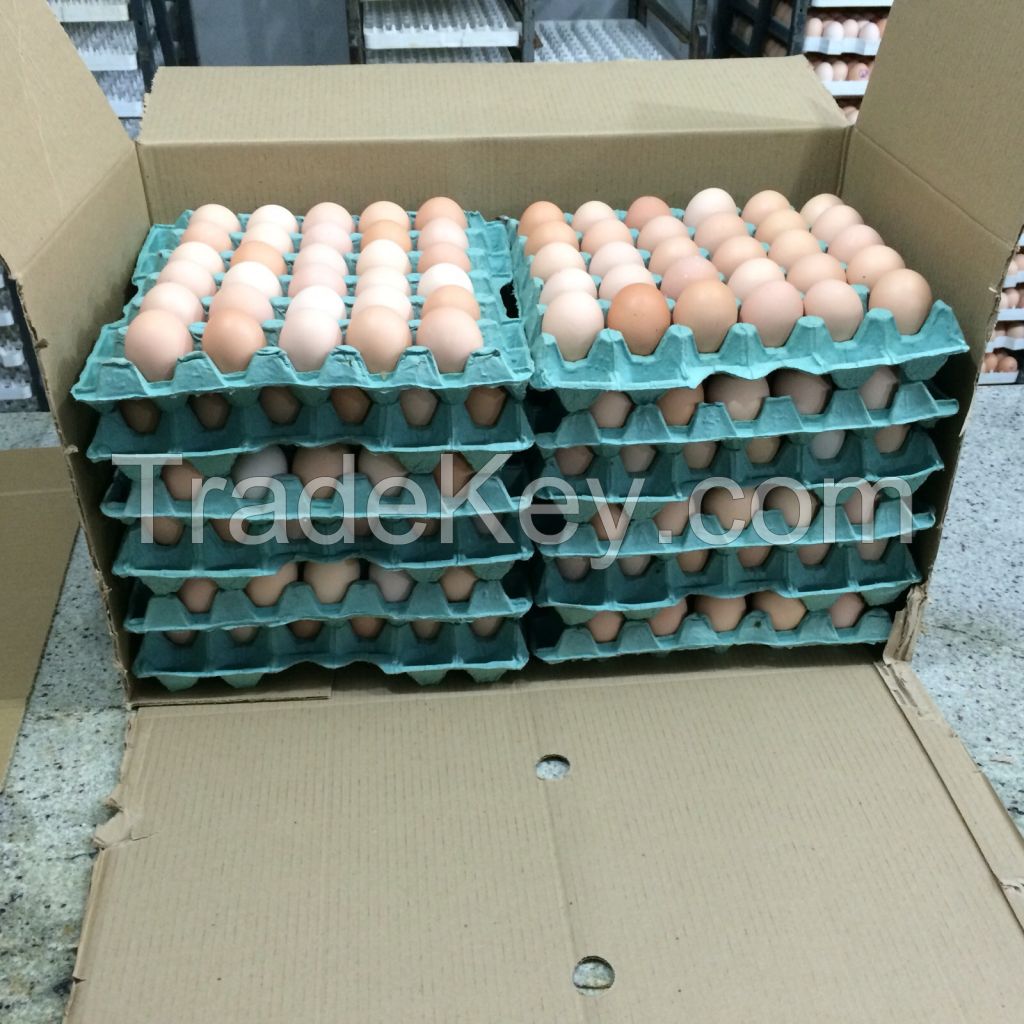 Chicken Eggs