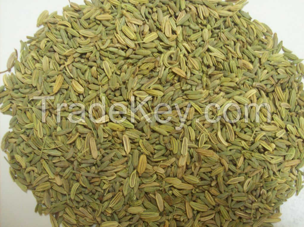 Fennel seeds