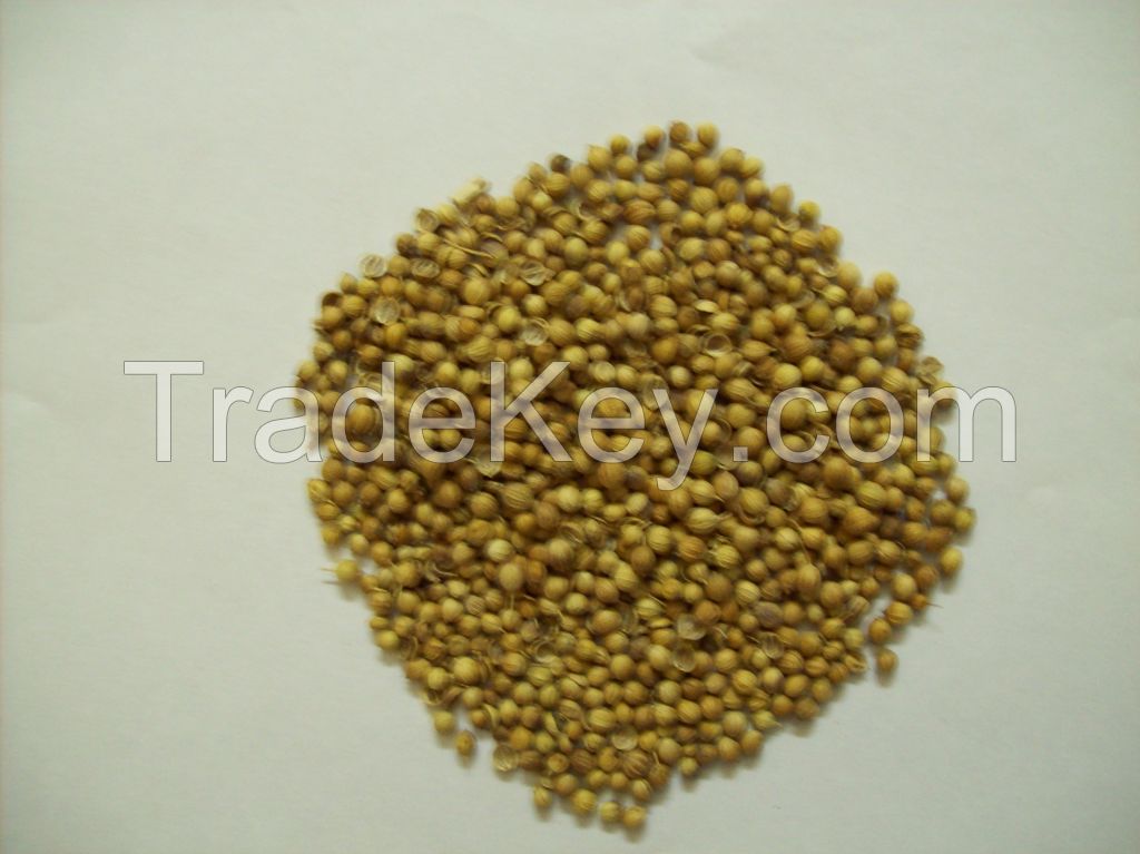 Coriander Seeds