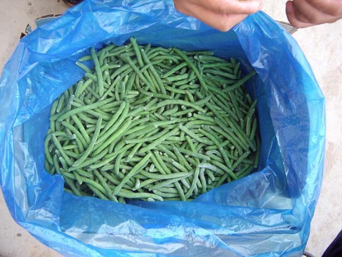 frozen green beens