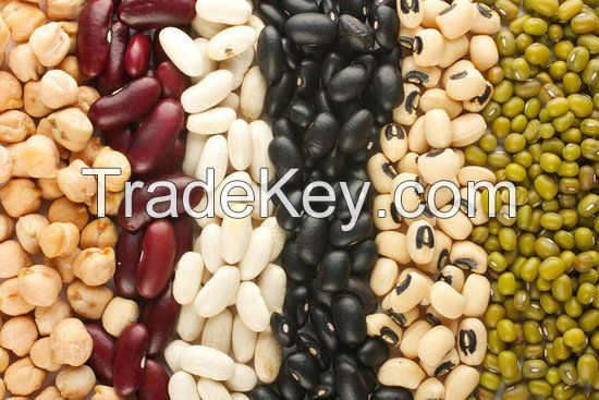 High Quality Pinto Dried Red Kidney Beans With Low Price