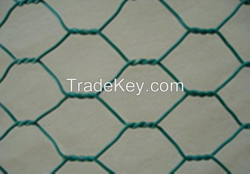 Hexagonal wire netting