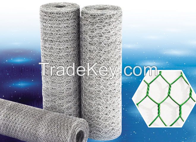 hebei anjia Galvanized Hexagonal Wire Mesh