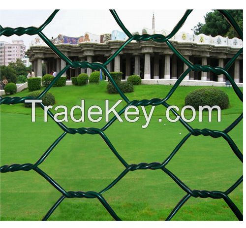 hebei anjia Galvanized Hexagonal Wire Mesh