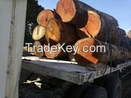 Quality timber logs and sawn woods