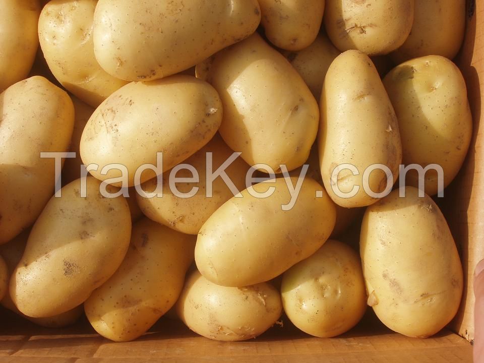 potatoes from turkey