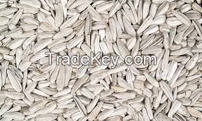 sunflower seeds from turkey