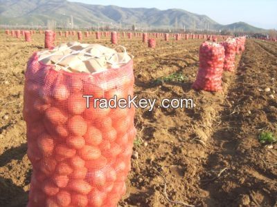 potatoes from turkey