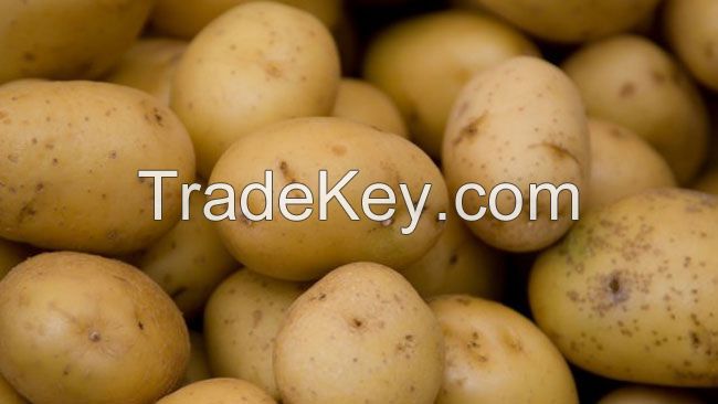 potatoes from turkey