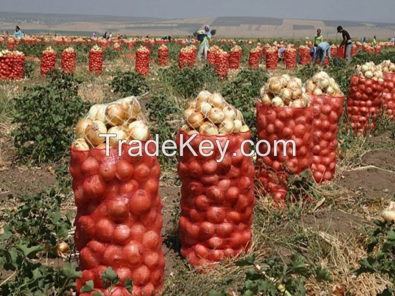 onion seeds from turkey