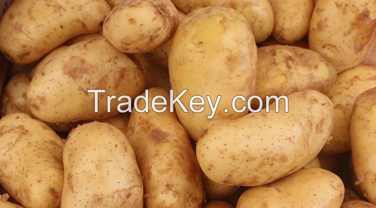 potatoes from turkey