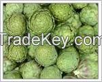 Artichoke Leaf Extract