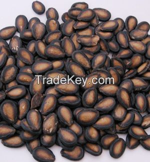 Melon seeds (Arishy)