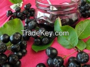 Harmony aronia jam