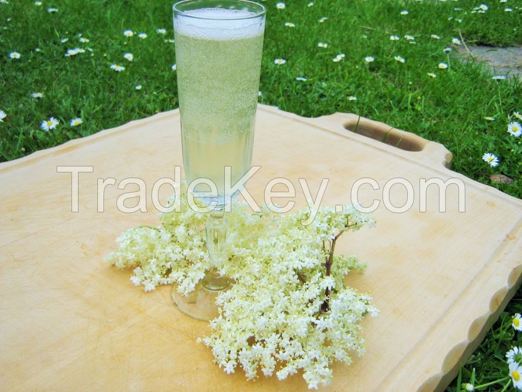 Harmony elderflower syrup 