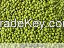 WHITE,RED,GREEN MUNG BEANS AND WHITE SPECKLED KIDNEY BEANS FOR SALE