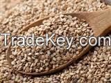 PUMPKIN SEED ,SESAME SEED ,MUSTARD SEED,SOYA SEED,SUNFLOWER SEED and rapeseed for sale