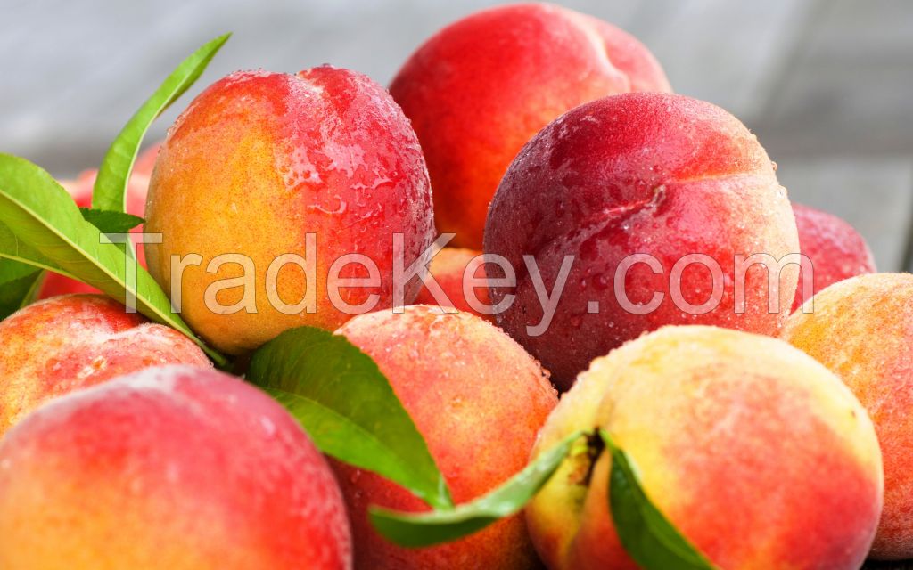 Fresh Peaches