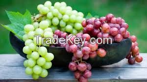 Fresh Grapes