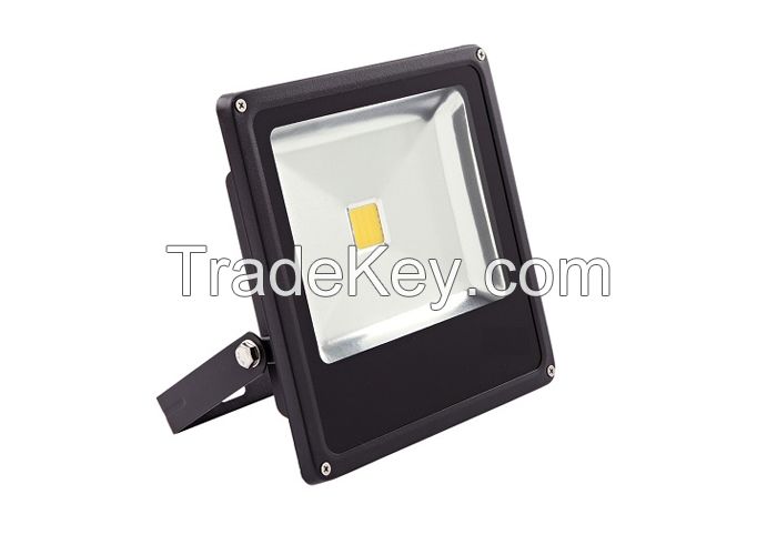 Cold Color Waterproof LED Floodlights 30W IP66