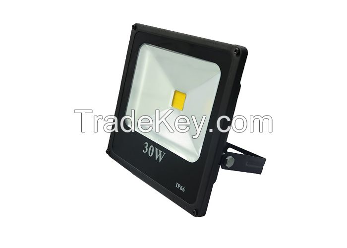 Cold Color Waterproof LED Floodlights 30W IP66