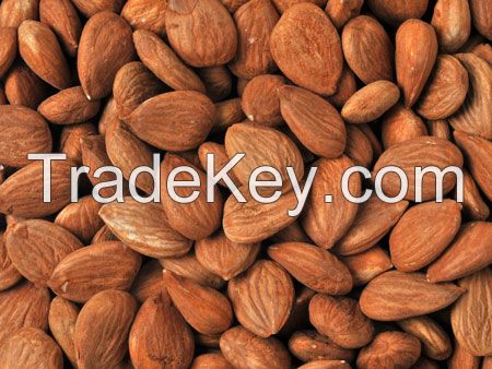 Apricot Kernels