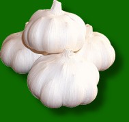 fresh garlic