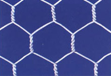 hexagonal wire mesh