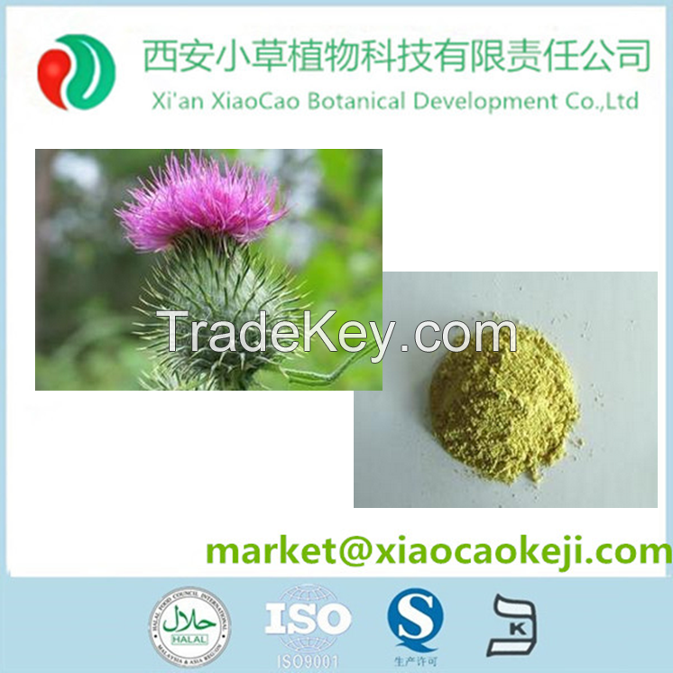 Milk Thistle Extract 80% Silymarin (UV) Silybins > 30(HPLC)