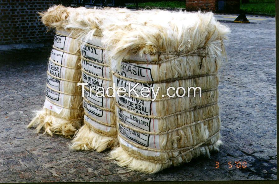 SISAL  FIBER