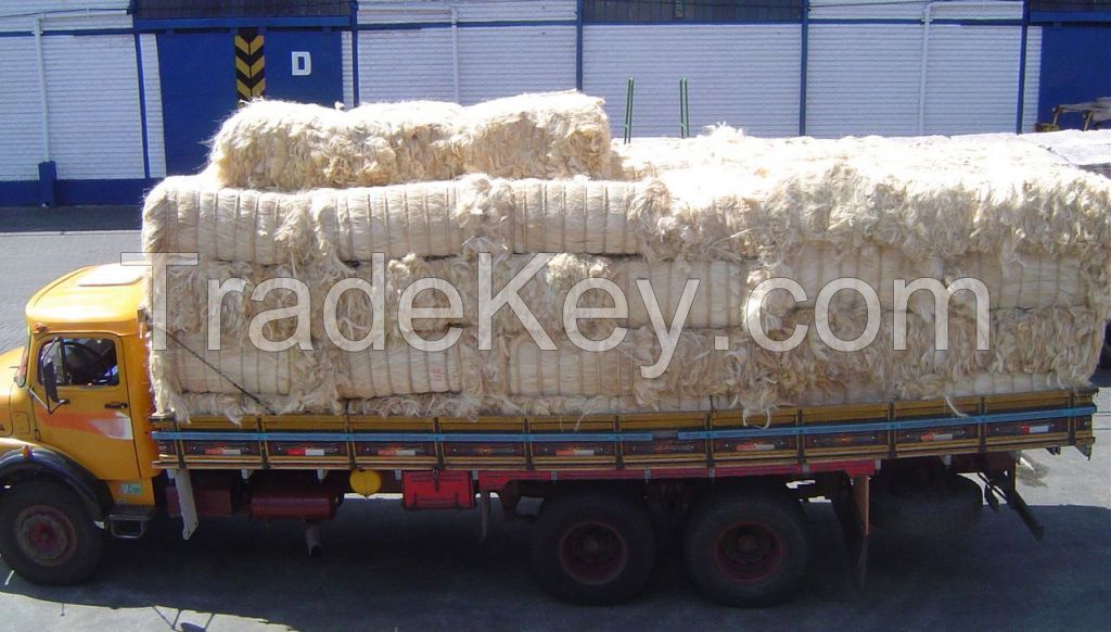 SISAL  FIBER