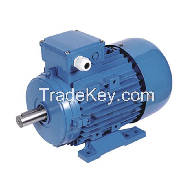 MS series three phase electric motor