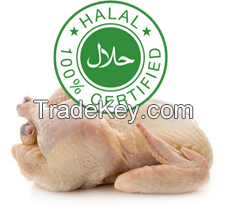 Whole Chicken Griller (900g-1200g) HALAL