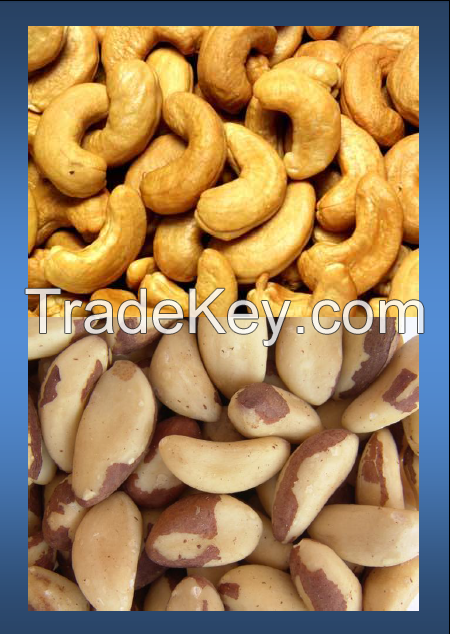 BRAZILIAN NUTS, CASHEW