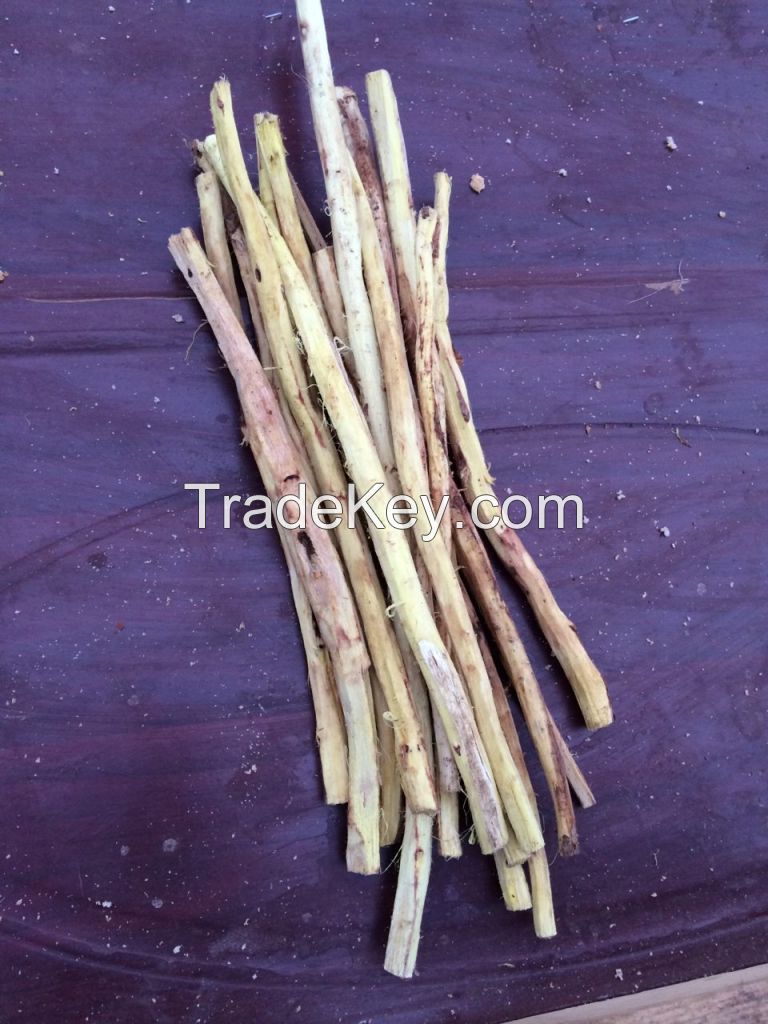 LICORICE ROOT