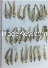 Dried Anchovy