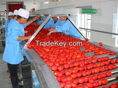 tomato paste  30-32%   36-38%