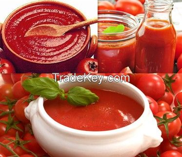 tomato paste 28-30% 30-32%   36-38%