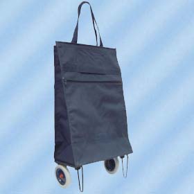 Shopping bag, backpack, cooler bag, handbag