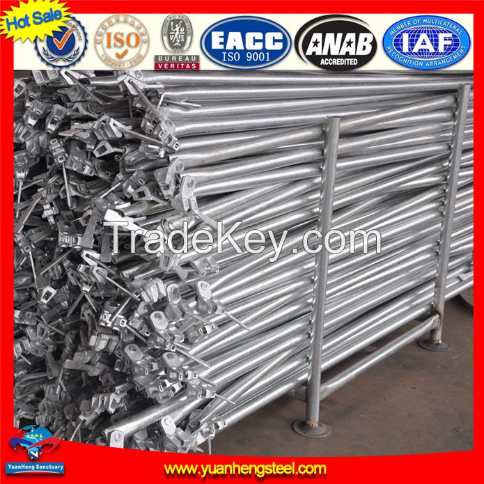 Superior Q235 Q345 Steel Galvanized Ringlock Scaffolding