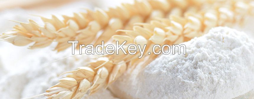 Wheat & Wheat Flour 