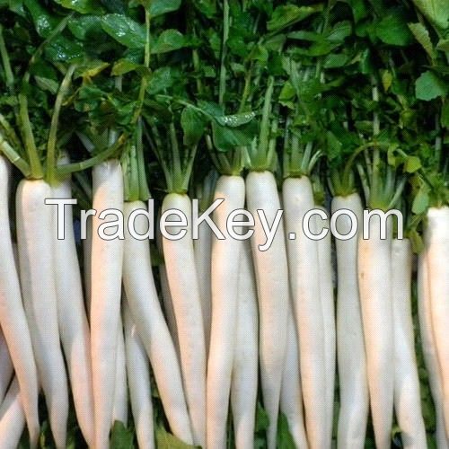 Radish Seeds