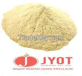 psyllium powder