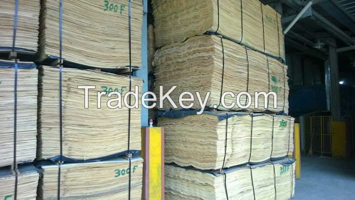 Cheap price of rotary cut Pine veneer for plywood / 1270x2540mm natural wood veneer