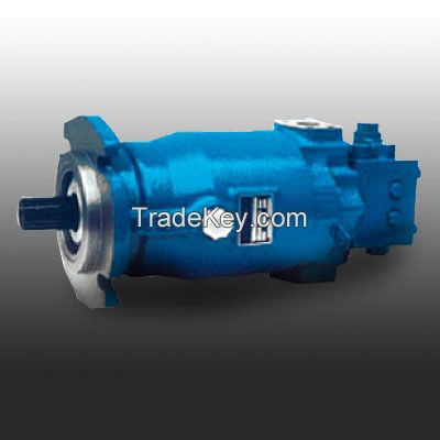 Bent axis hydraulic pumps and motors, Sauer serie 20 hydraulic pumps and motors