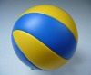 Training Volleyball, Soft Hand Texture, Official Size