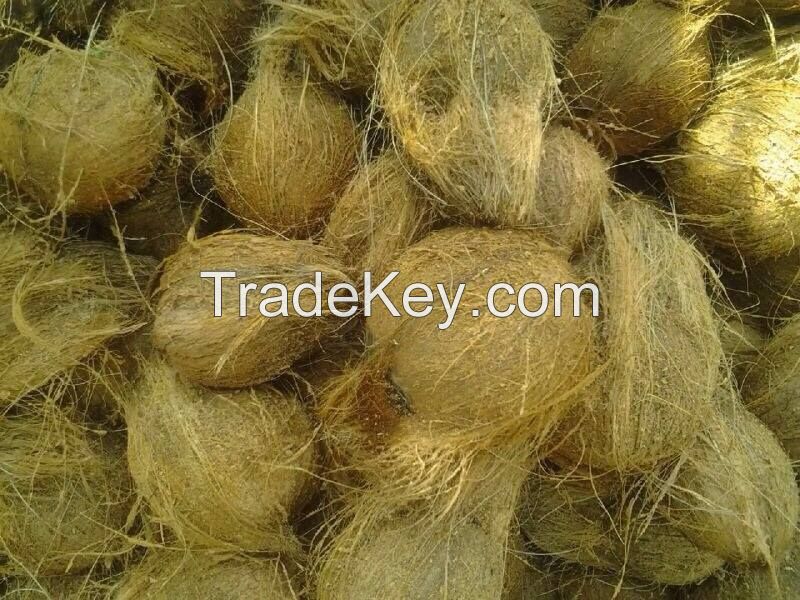 Semi Husked Mature Coconut